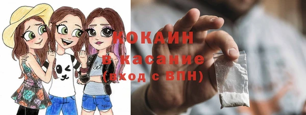 молекула духа Алексин