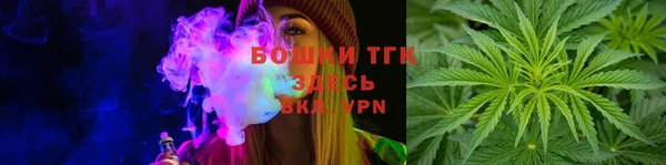 PSILOCYBIN Алзамай