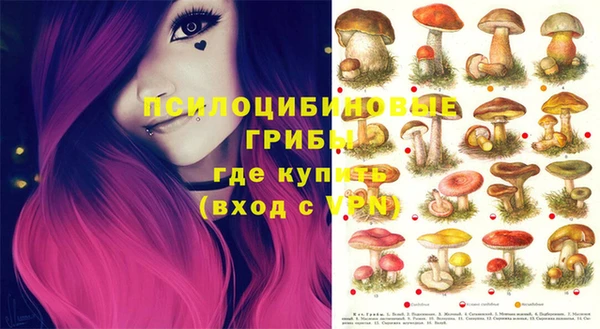 молекула духа Алексин