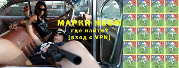 PSILOCYBIN Алзамай