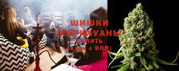 PSILOCYBIN Алзамай