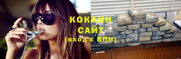 молекула духа Алексин